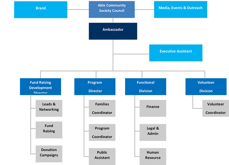 Society Program Org Structure
